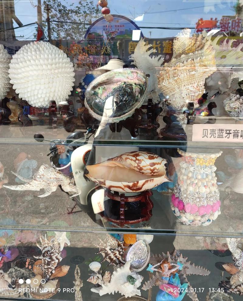 北海贝壳工艺品 传统美术的海洋瑰宝